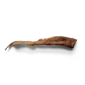 Aorta de ternera