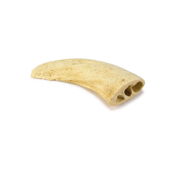 Núcleo de Cuerno de Búfalo
