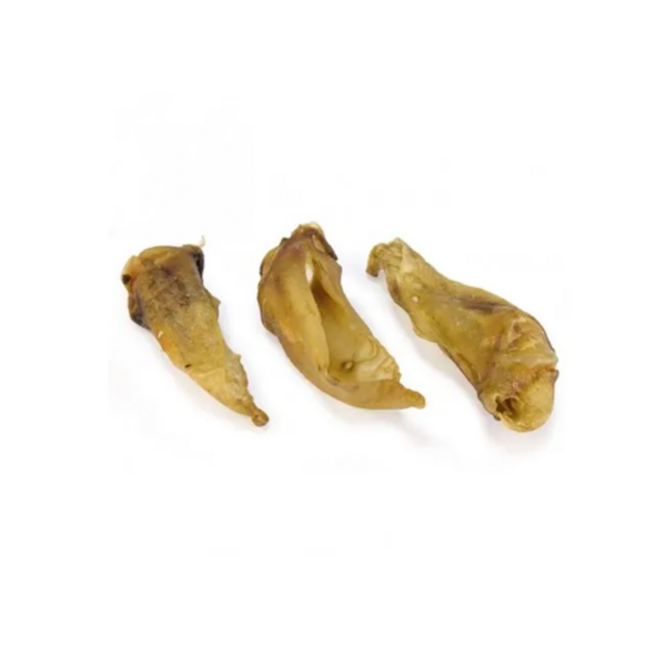 Oreja de Cordero