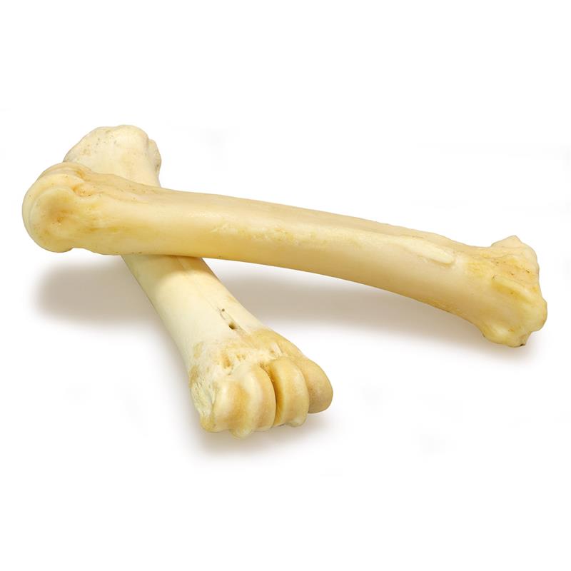 Hueso de calcio de Búfalo