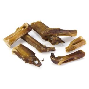 Puntas de nervio de toro