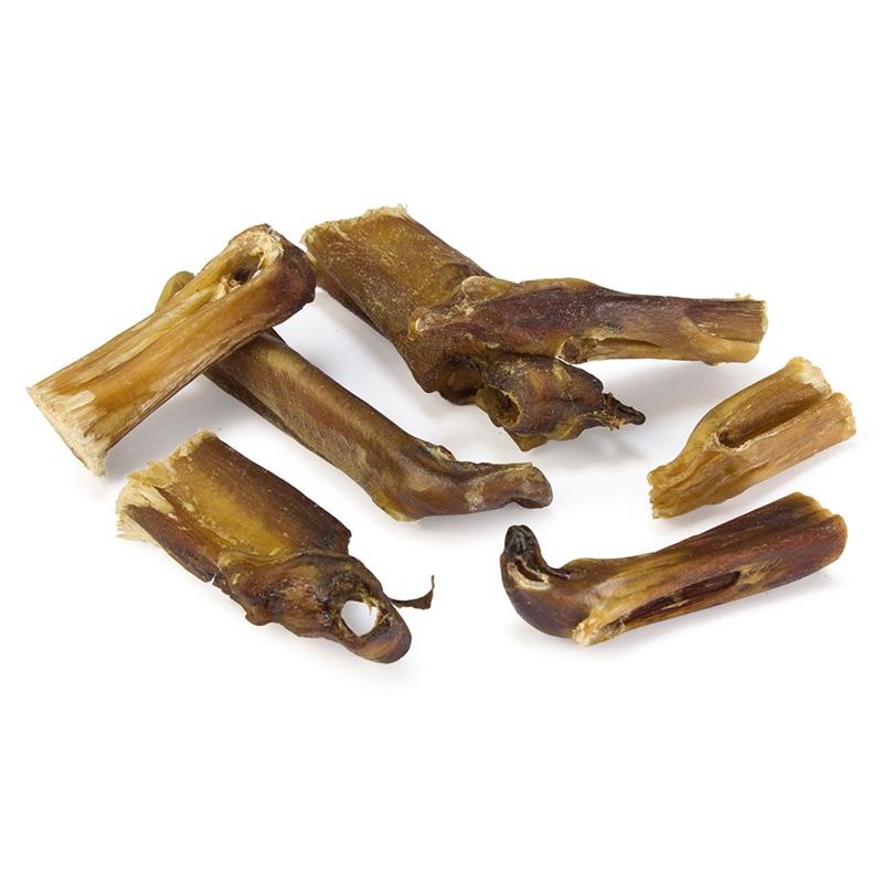 Puntas de nervio de toro
