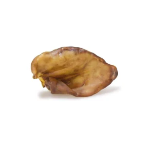 Oreja de cerdo