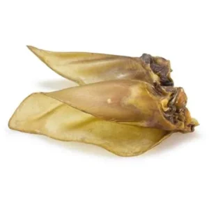 Oreja de búfalo