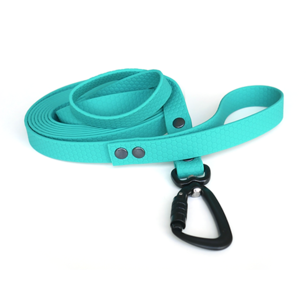 Correa de PVC Hexa con mosquetón anti escape para perros pequeños