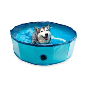 Piscina para perros